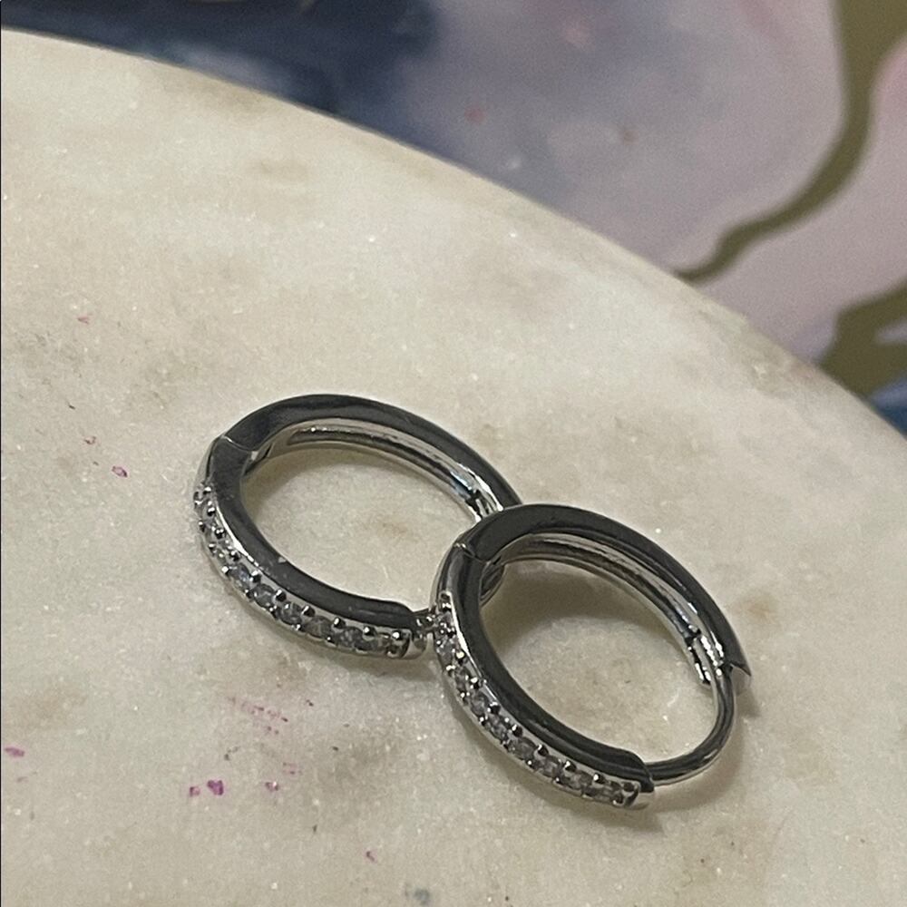 Hoop Earrings stainless steel hinge